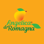 AB communication testimonianze Angelica Romagna