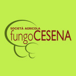 AB communication testimonianze FungoCesena